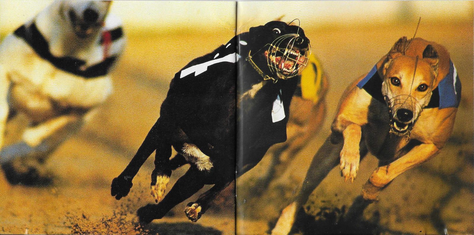 Middle of cover of 29194 2